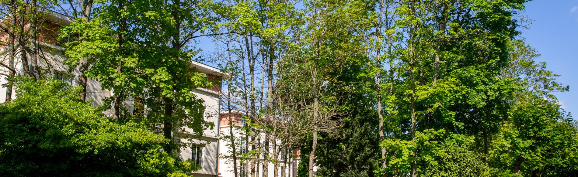 Maison de Santé